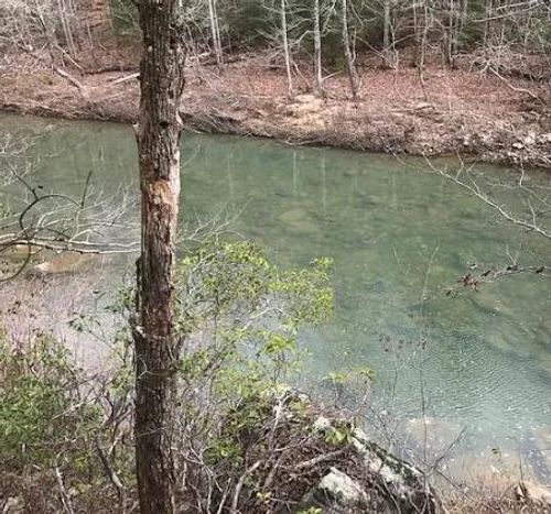 Lot 21 E Bobcat Lane, Wilder, TN, 38589 | Card Image