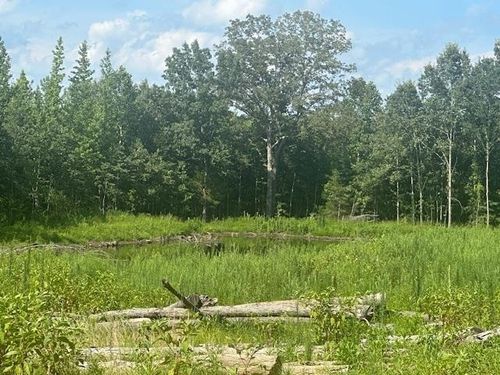 31880 Highway 69, Morris Chapel, TN, 38361 | Card Image