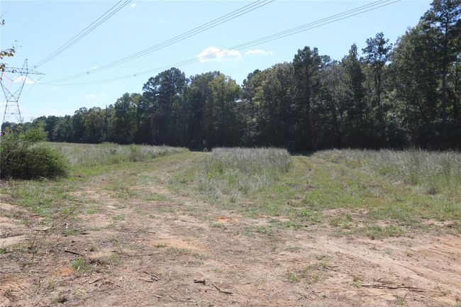 18156 State Highway 87 S, Home with 0 bedrooms, 0 bathrooms and null parking in Call TX | Image 7