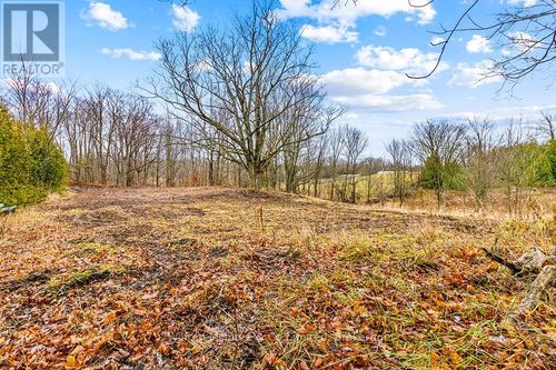 PtLt 16 5 Sideroad, Chatsworth, ON, N0H1G0 | Card Image
