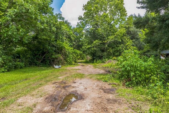0 Davis Bend Rd, Home with 0 bedrooms, 0 bathrooms and null parking in Alvin TX | Image 14