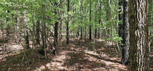 0 Sunset Rd, Spencer, TN, 38585 | Card Image