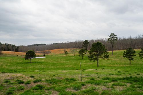 1420 St Hwy 14, West Plains, MO, 65775 | Card Image