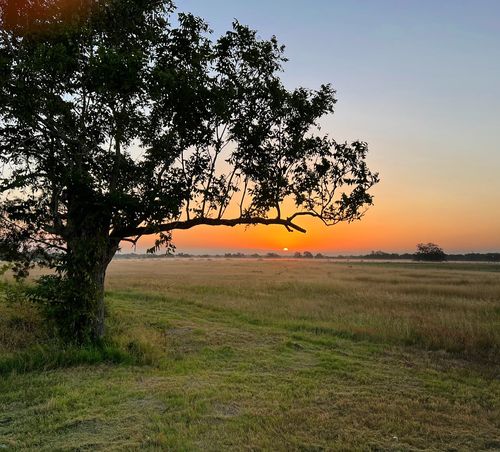 7188 Goehring Road, Ledbetter, TX, 78946 | Card Image