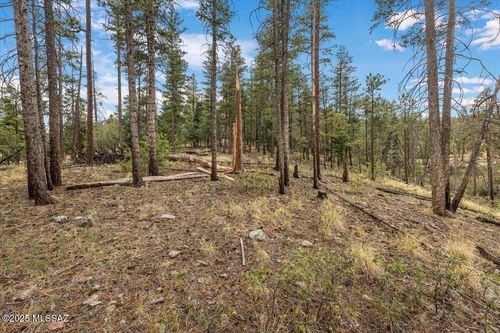 29-14 Copper Mountain Cir, Alpine, AZ, 85920 | Card Image