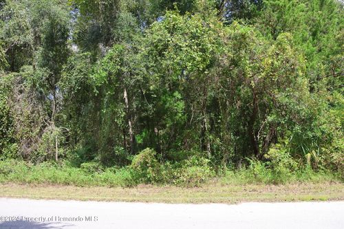 439 S Snapp Avenue, Inverness, FL, 34452 | Card Image