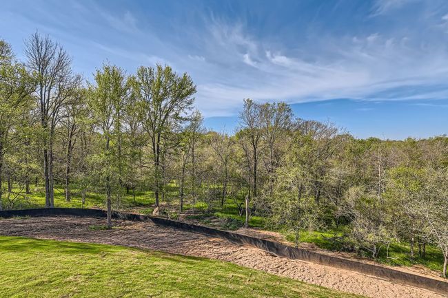 View of yard | Image 28
