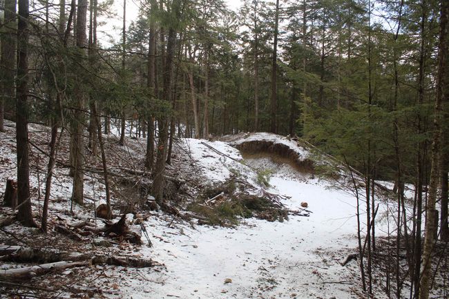 LOT-17 - 000 Wetherbee Farm Rd, Home with 0 bedrooms, 0 bathrooms and null parking in Lisbon NH | Image 15