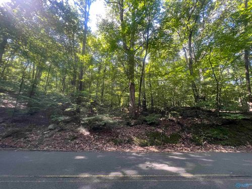 lot 91 and 92 Wyeth Dr, Guntersville, AL, 35976 | Card Image