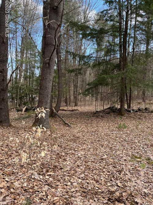 6424 Honeysuckle Dr, Granville, NY, 12832 | Card Image