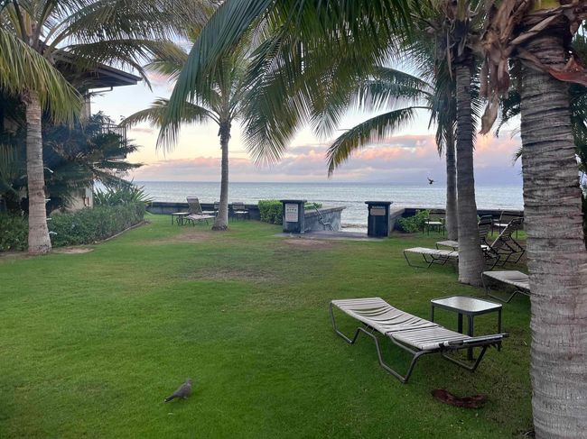 APT-3C - 3559 Lower Honoapiilani Rd, Condo with 2 bedrooms, 1 bathrooms and null parking in Lahaina HI | Image 8