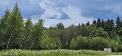 196 Pa, Tobyhanna, PA, 18466 | Card Image