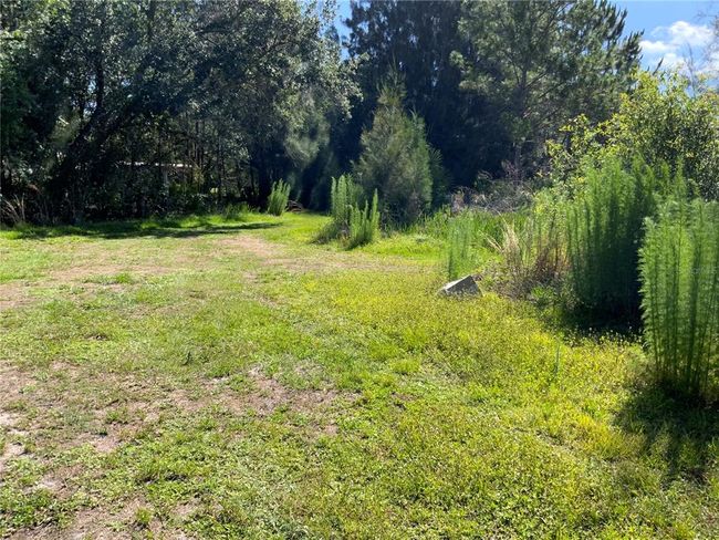 1211 Nw Eucalyptus Ave, House other with 1 bedrooms, 1 bathrooms and null parking in Arcadia FL | Image 13