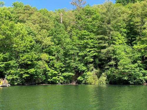Lot# 18 Lakeshore Drive, Nantahala, NC, 28781 | Card Image