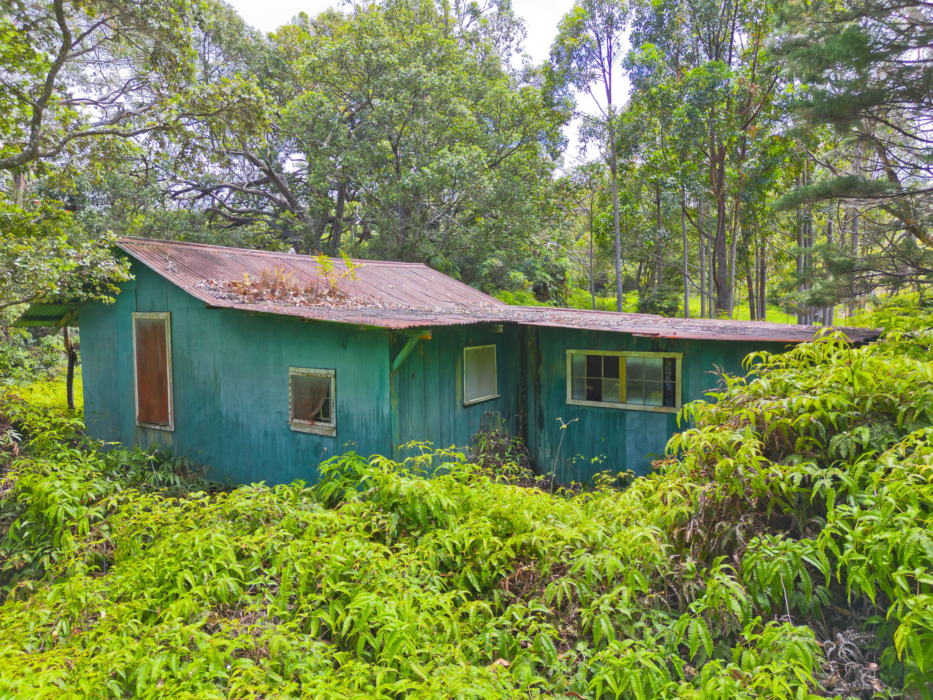 Land in Ookala 5