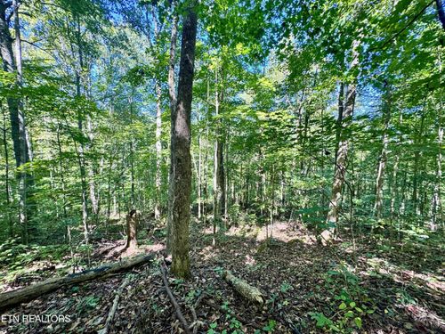 0 W Bobcat Ln, Wilder, TN, 38589 | Card Image