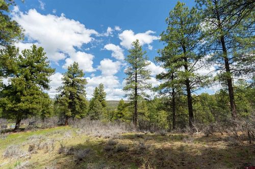 422 Oakridge Dr, Pagosa Springs, CO, 81147-9968 | Card Image