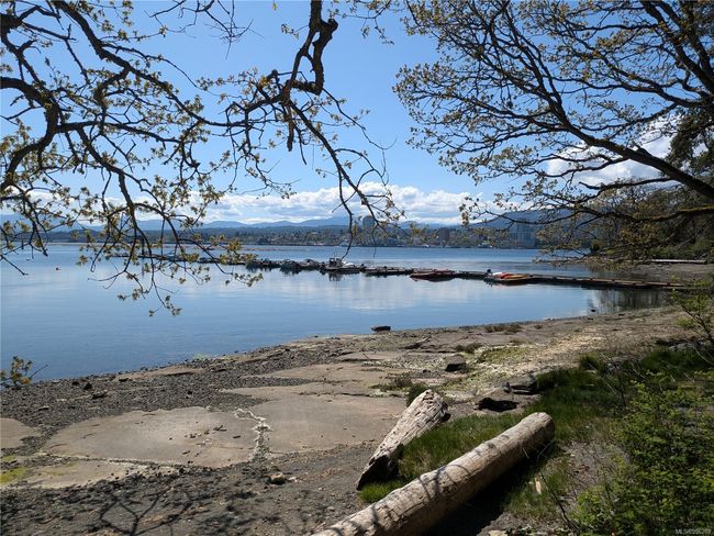 Mud Bay Community Dock | Image 19