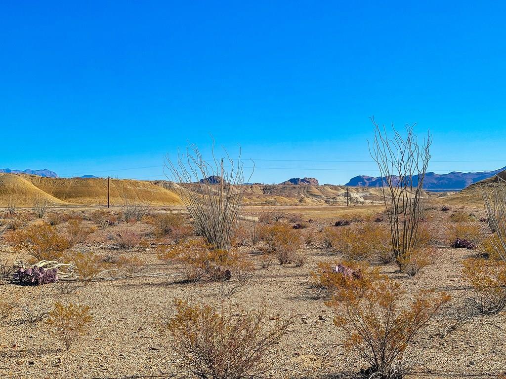 Land in Terlingua 2