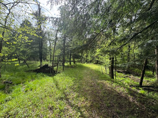 7215 E Niemitalo Dr, House other with 3 bedrooms, 2 bathrooms and null parking in Chase MI | Image 33