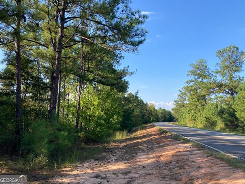 0 Firetower Rd, Cusseta, GA, 31805 | Card Image