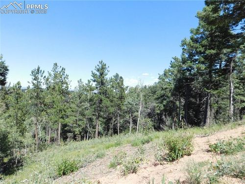 13670 Spruce Creek Cir, Larkspur, CO, 80118-6602 | Card Image