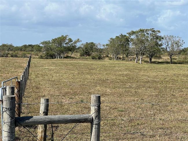 This is the far-Left Front corner of this 5-acre property that is fully fenced and currently under ag exemption and being used for grazing for cattle. | Image 8