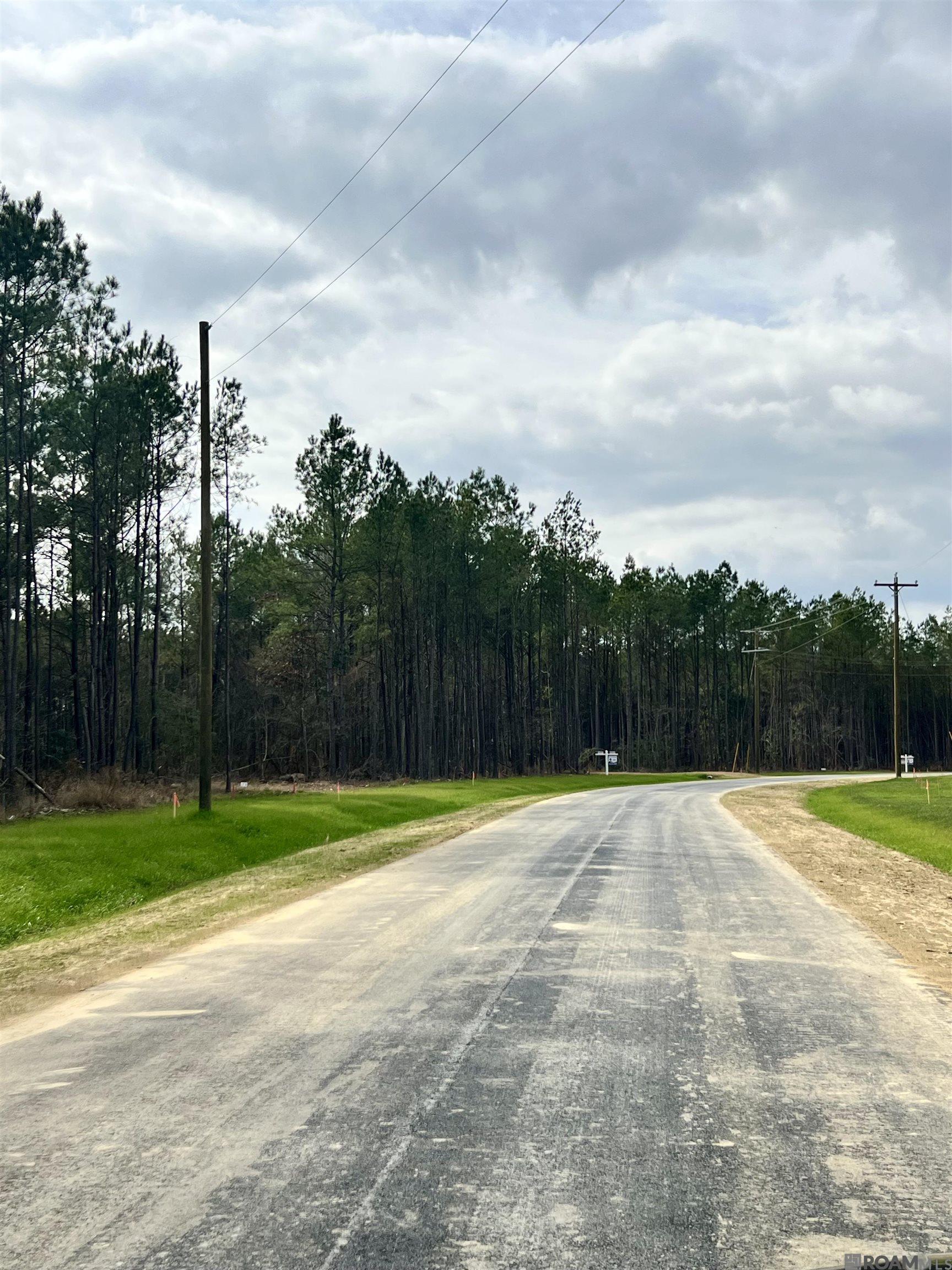 Land in Livingston 4