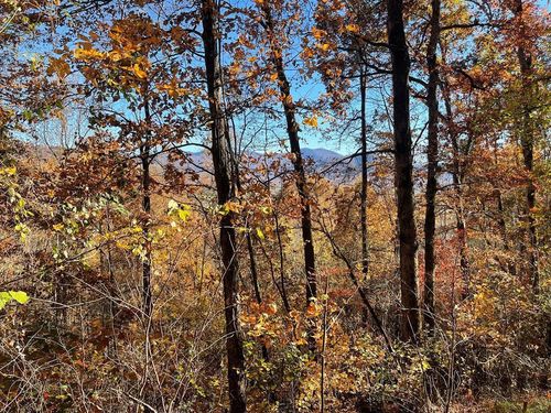 54c-36 54C Ash Branch Cir, Hayesville, NC, 28904-4881 | Card Image