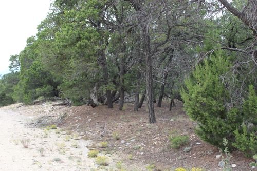 7 Manzano Loop, Tijeras, NM, 87059 | Card Image