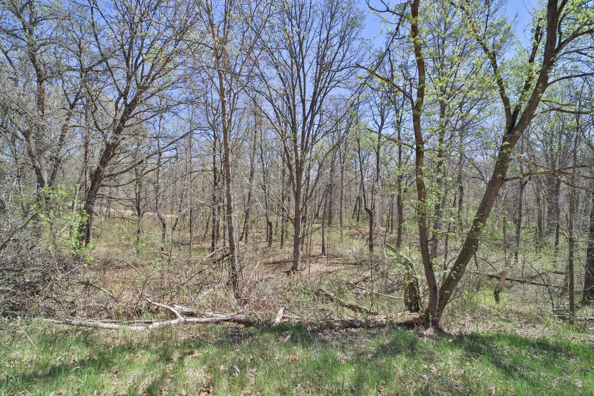 Land in Breezy Point 4