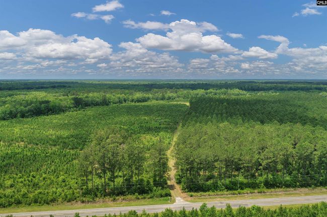 0000 N Brewington Rd, Home with 0 bedrooms, 0 bathrooms and null parking in Manning SC | Image 9