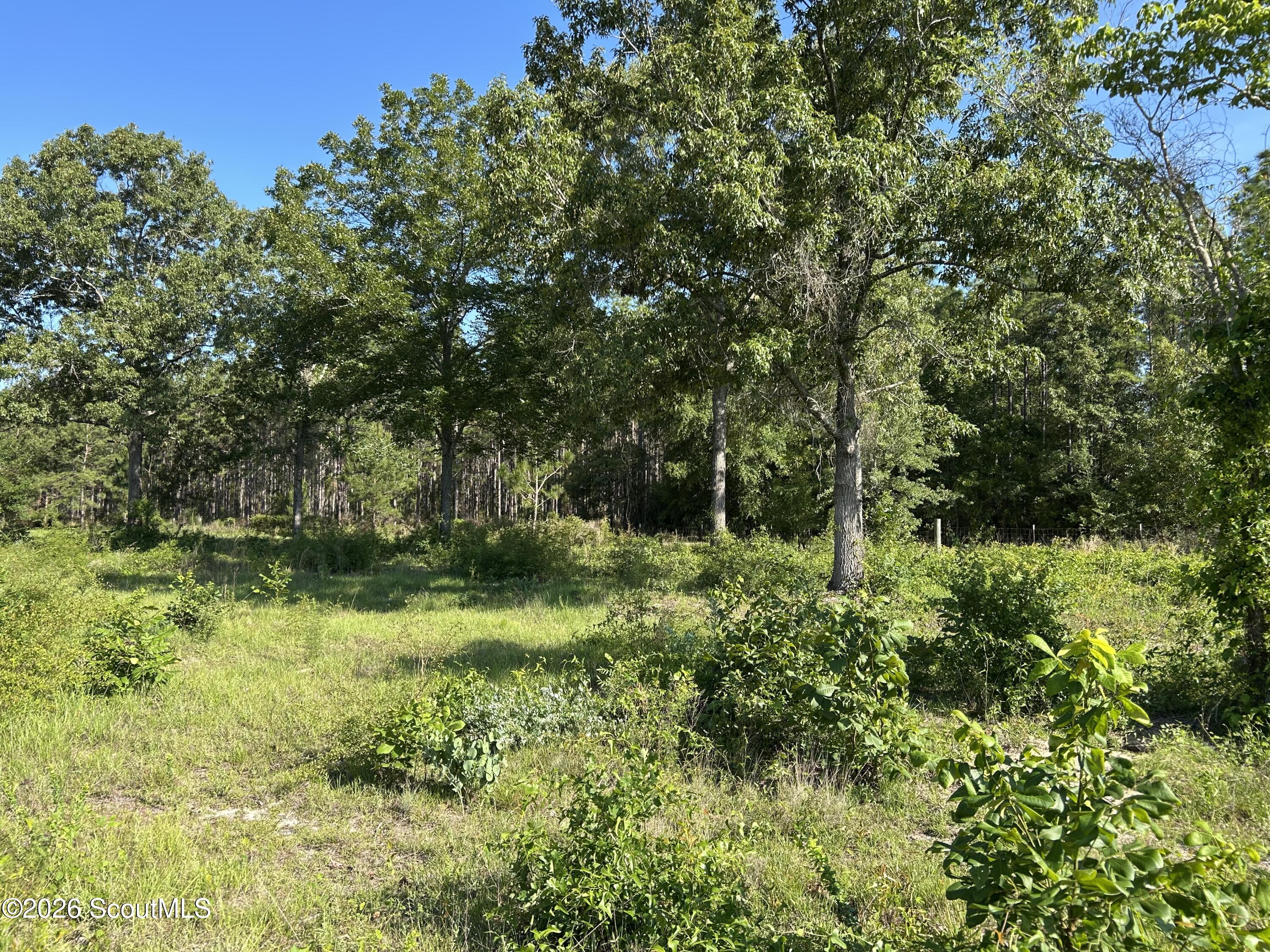 Land in Jesup 3