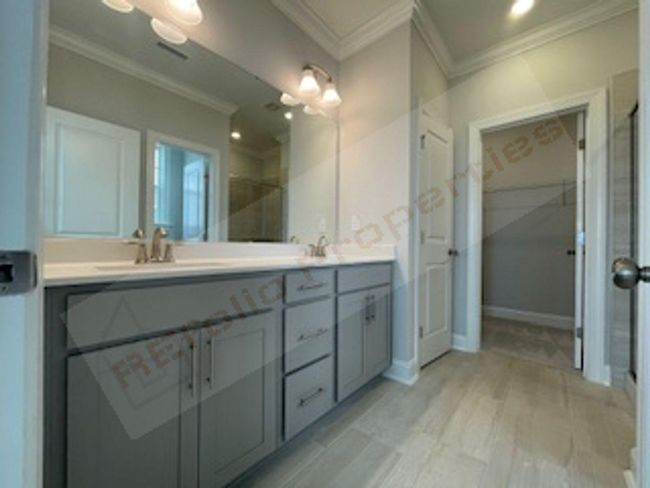 Photo #13 | Image 13