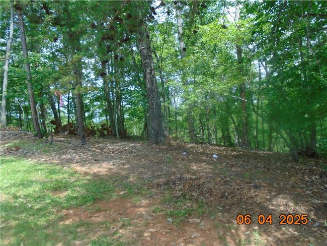 1000 E Cedar Creek Rd, Home with 0 bedrooms, 0 bathrooms and null parking in Sunset SC | Image 17
