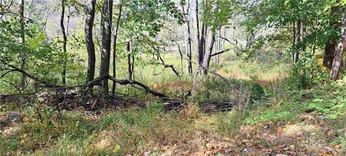 000 Aloe, Punxsutawney Area School District, PA, 15767 | Card Image