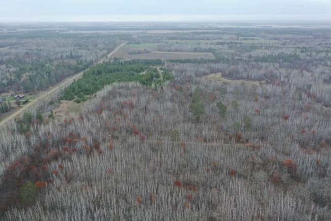 DJI_0604.JPG | Image 4