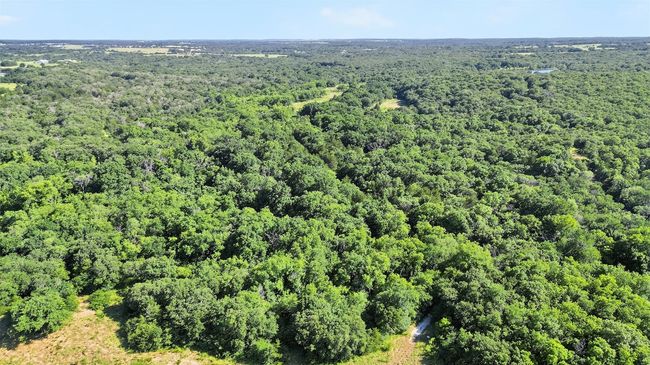 1052 Bones Chapel Rd, Home with 0 bedrooms, 0 bathrooms and null parking in Whitesboro TX | Image 8