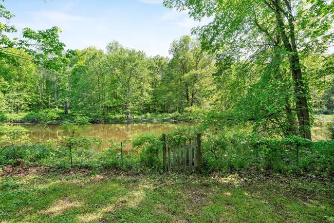 View of wooded area with a water view | Image 22