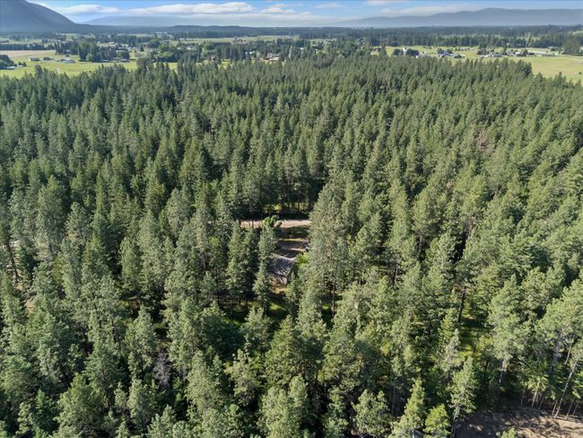 Aerial view of property's location featuring a mountain backdrop and a heavily wooded area | Image 28