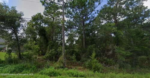 11272 Gallinule Avenue, WEEKI WACHEE, FL, 34613 | Card Image