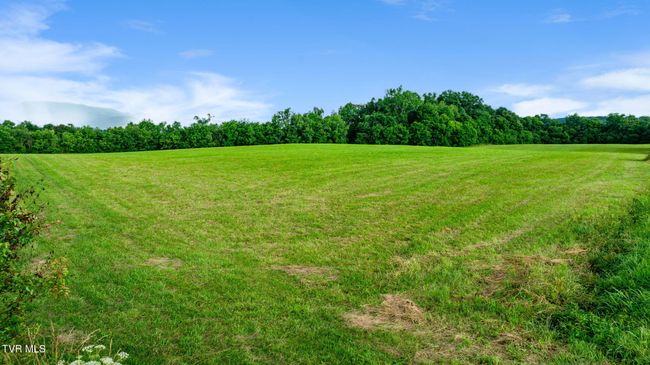 185 Lester Snapp Rd, Home with 0 bedrooms, 0 bathrooms and null parking in Limestone TN | Image 11
