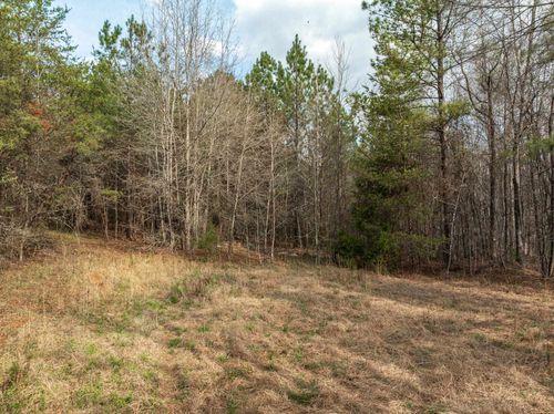 000 Melvin Hill Rd, Columbus, NC, 28722 | Card Image