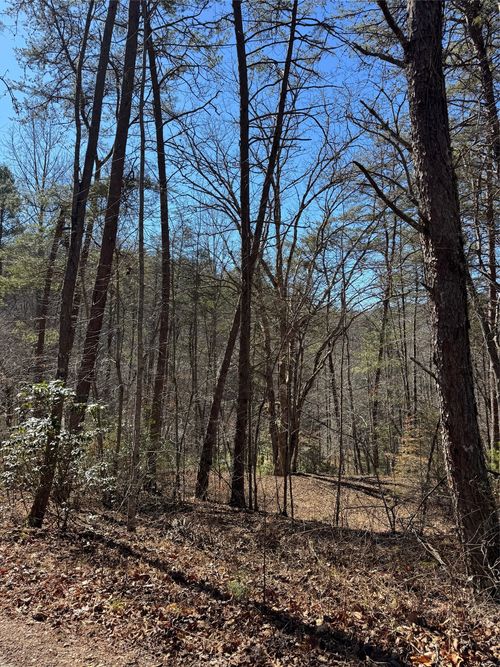 211 Hidden Hollow Ln, Otto, NC, 28763-9410 | Card Image