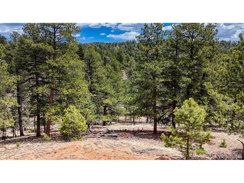 16 View Cir, Florissant, CO, 80816 | Card Image