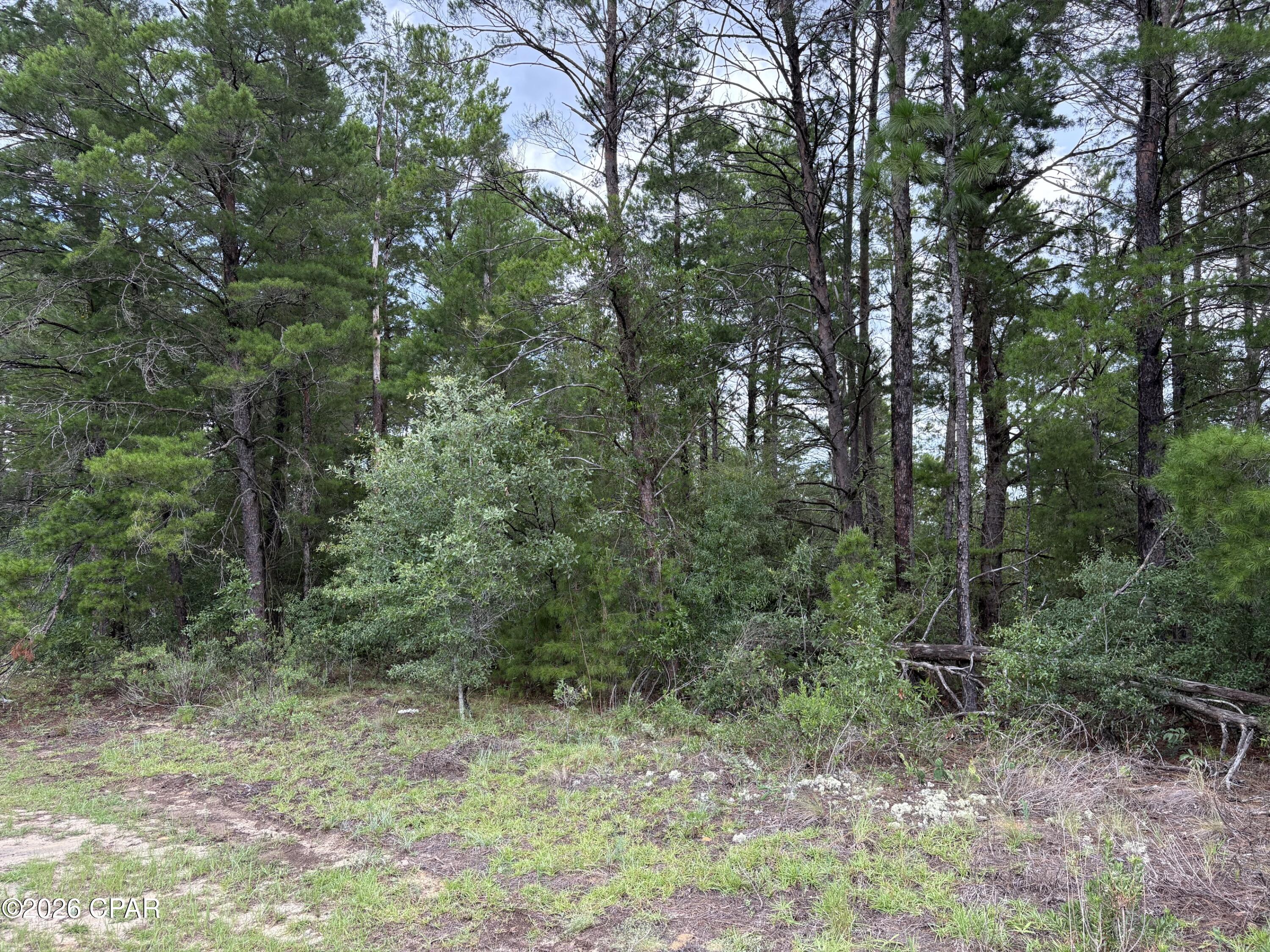 Land in Chipley 5
