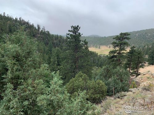 875 Pine Tree Dr, Estes Park, CO, 80517-8816 | Card Image