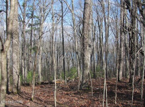 0 Markham Lane, Crossville, TN, 38558 | Card Image