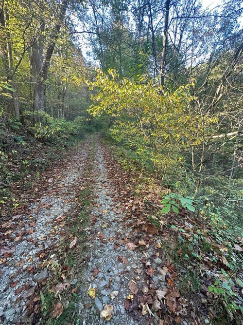 lot-7-blk-4-salt-lick-Lot 7 Cannon Hill Road, Rowlesburg, WV, 26425 | Card Image