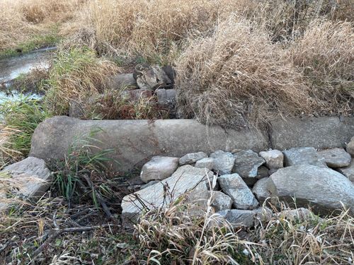 lot-17-16 S Main St, East Granby, CT, 06026-9550 | Card Image